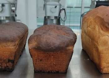 Is this the breakfast of the future? Bread made of BUGS & fungus created to fight food shortage – so would YOU try it?