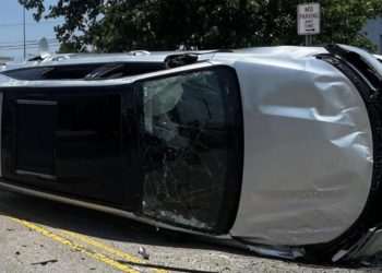 Sex-crazed insects cause car to flip with drivers warned to keep windows closed on roads as the bugs invade US