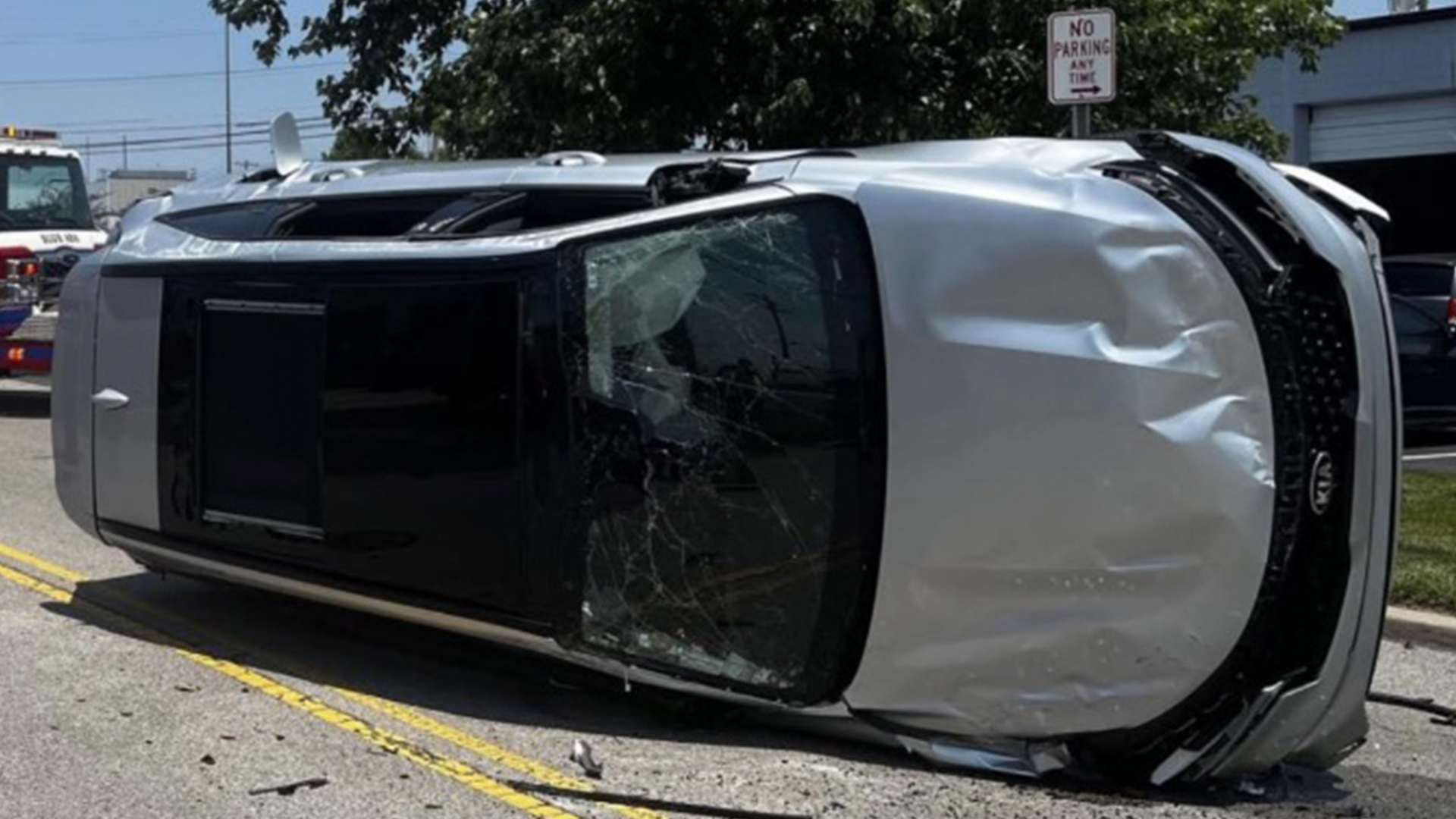 Sex-crazed insects cause car to flip with drivers warned to keep windows closed on roads as the bugs invade US