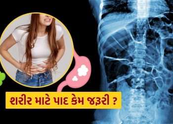 Gut Health: Do you know? The foot is not just the sound…. Learn why the footsteps of the foot in the language of biology?