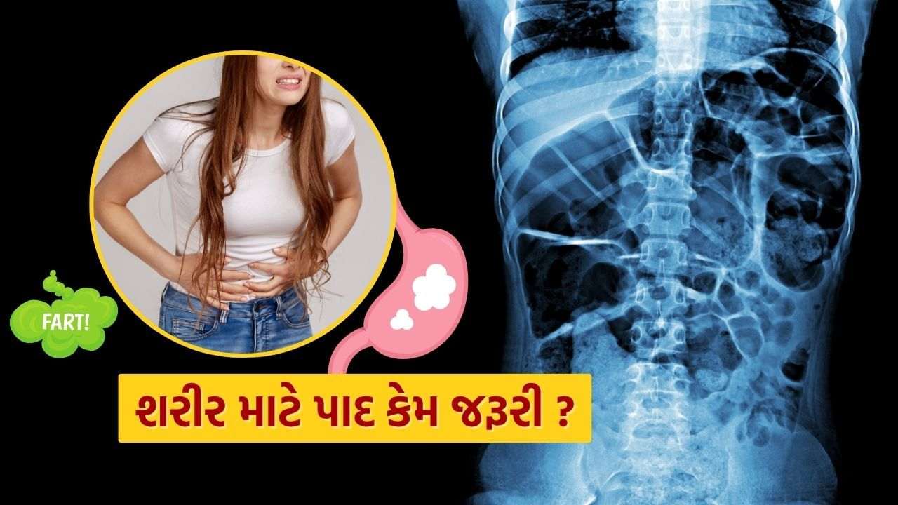 Gut Health: Do you know? The foot is not just the sound…. Learn why the footsteps of the foot in the language of biology?