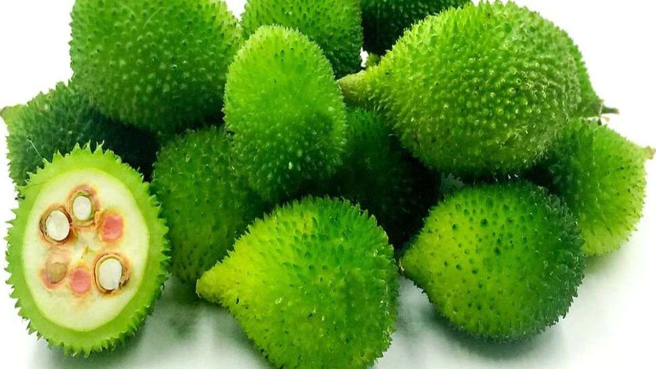 Increase the immune system in the monsoon? Include in the diet kankoda and get great benefits