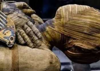 Mysteries of 2,300-year-old mummy Bashiri ‘The Untouchable’ revealed after researchers refused to unwrap ancient fabric