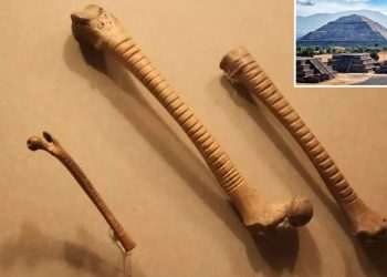 Archaeologists uncover 800-year-old bones with strange details & they offer a surprising insight into Aztec life