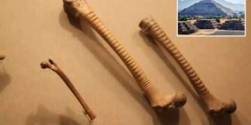 Archaeologists uncover 800-year-old bones with strange details & they offer a surprising insight into Aztec life