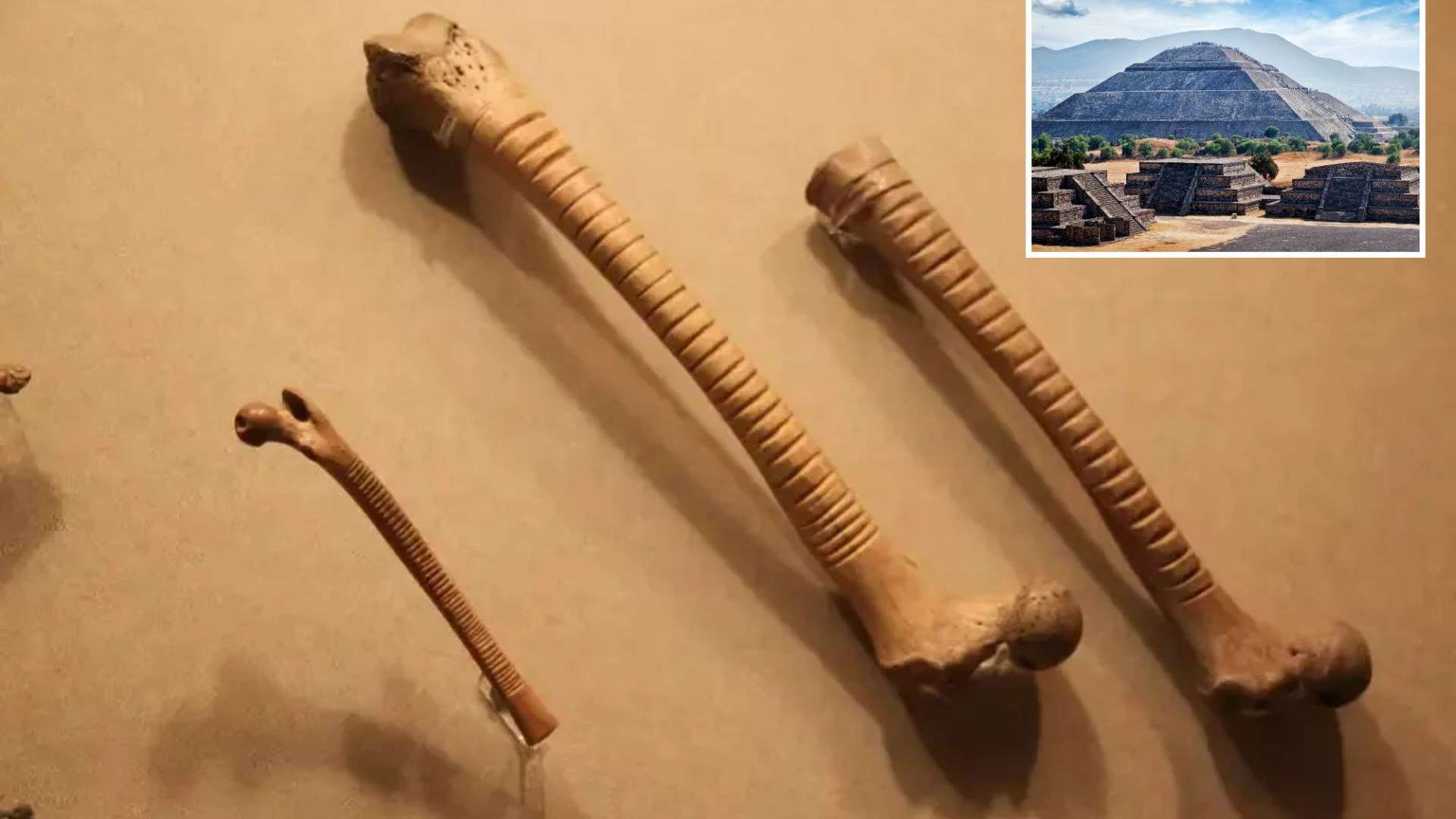 Archaeologists uncover 800-year-old bones with strange details & they offer a surprising insight into Aztec life