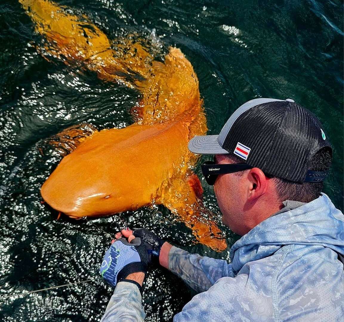 Bright ORANGE shark with white eyes spotted for the ‘first time ever’ after being reeled in by fisherman