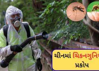 Chikungunya Fury in China: Blood sample is being taken at midnight, stringent measures like Corona in China; More than 8000 cases have been registered so far