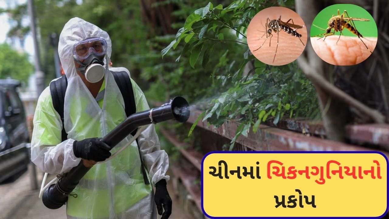 Chikungunya Fury in China: Blood sample is being taken at midnight, stringent measures like Corona in China; More than 8000 cases have been registered so far