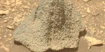 Did scientists find an ancient alien HELMET on Mars? Mysterious object is discovered by Nasa Did scientists find an ancient alien HELMET on Mars? Mysterious object is discovered by Nasa