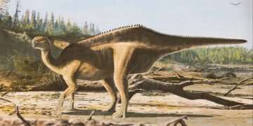 New 125 million year-old dinosaur species discovered on the Isle of Wight with unusual feature to attract partners New 125 million year-old dinosaur species discovered on the Isle of Wight with unusual feature to attract partners