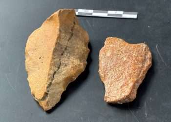 New clues to mysterious extinct & ancient ‘Hobbit’ humans that roamed earth 1 million years ago uncovered by scientists