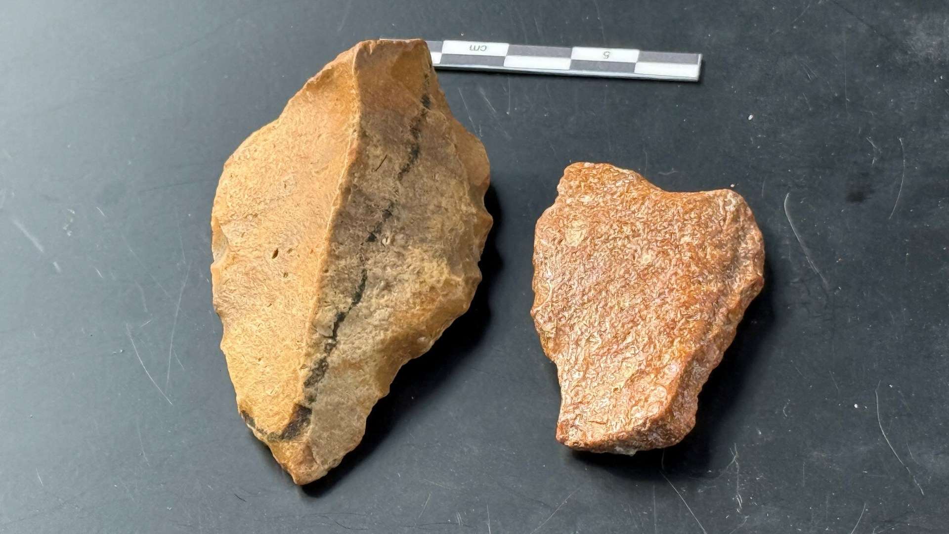 New clues to mysterious extinct & ancient ‘Hobbit’ humans that roamed earth 1 million years ago uncovered by scientists
