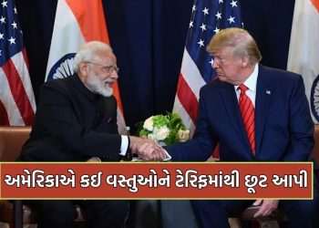 The United States must buy these items from India amid tariff tensions, no other option