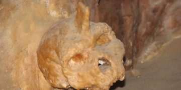 Mystery behind primitive horned skull fused to a cave WALL is finally solved Mystery behind primitive horned skull fused to a cave WALL is finally solved