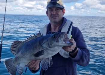 Incredibly rare prehistoric fish that gobbles up SHARKS is caught off UK coast in major breakthrough