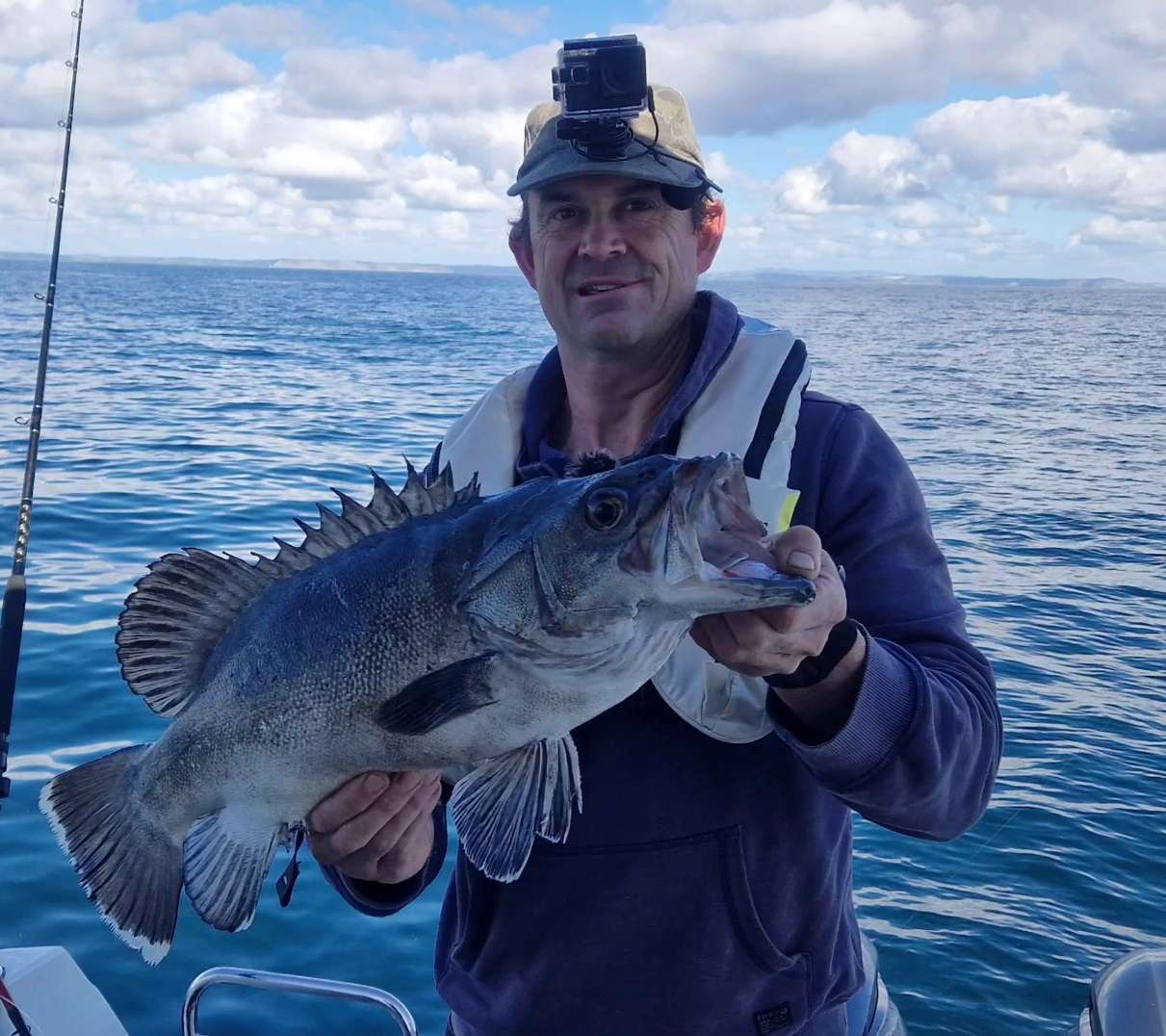 Incredibly rare prehistoric fish that gobbles up SHARKS is caught off UK coast in major breakthrough