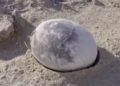 Moment archaeologists reveal perfectly preserved 70m-year-old dinosaur egg – now they’re going to find out what’s inside Moment archaeologists reveal perfectly preserved 70m-year-old dinosaur egg – now they’re going to find out what’s inside
