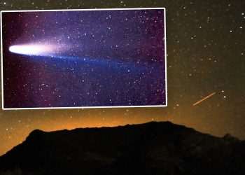 Orionids meteor shower with 25 fireballs an HOUR from Halley’s Comet ‘that only visits every 75 years’ visible tonight