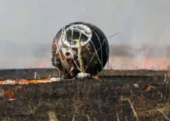 Russia’s bizarre ‘Noah’s Ark’ satellite that took 1,500 animals into SPACE crash lands back on Earth… with mixed results