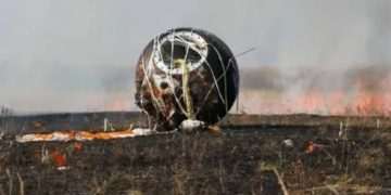Russia’s bizarre ‘Noah’s Ark’ satellite that took 1,500 animals into SPACE crash lands back on Earth… with mixed results