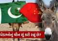 What is China doing 200,000 donkeys purchased from Pakistan? You will be shocked to know What is China doing 200,000 donkeys purchased from Pakistan? You will be shocked to know