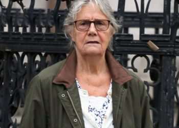 Woman, 84, ‘kicked in groin and SHOT at by neighbours in escalating campaign of terror on millionaire’s row’