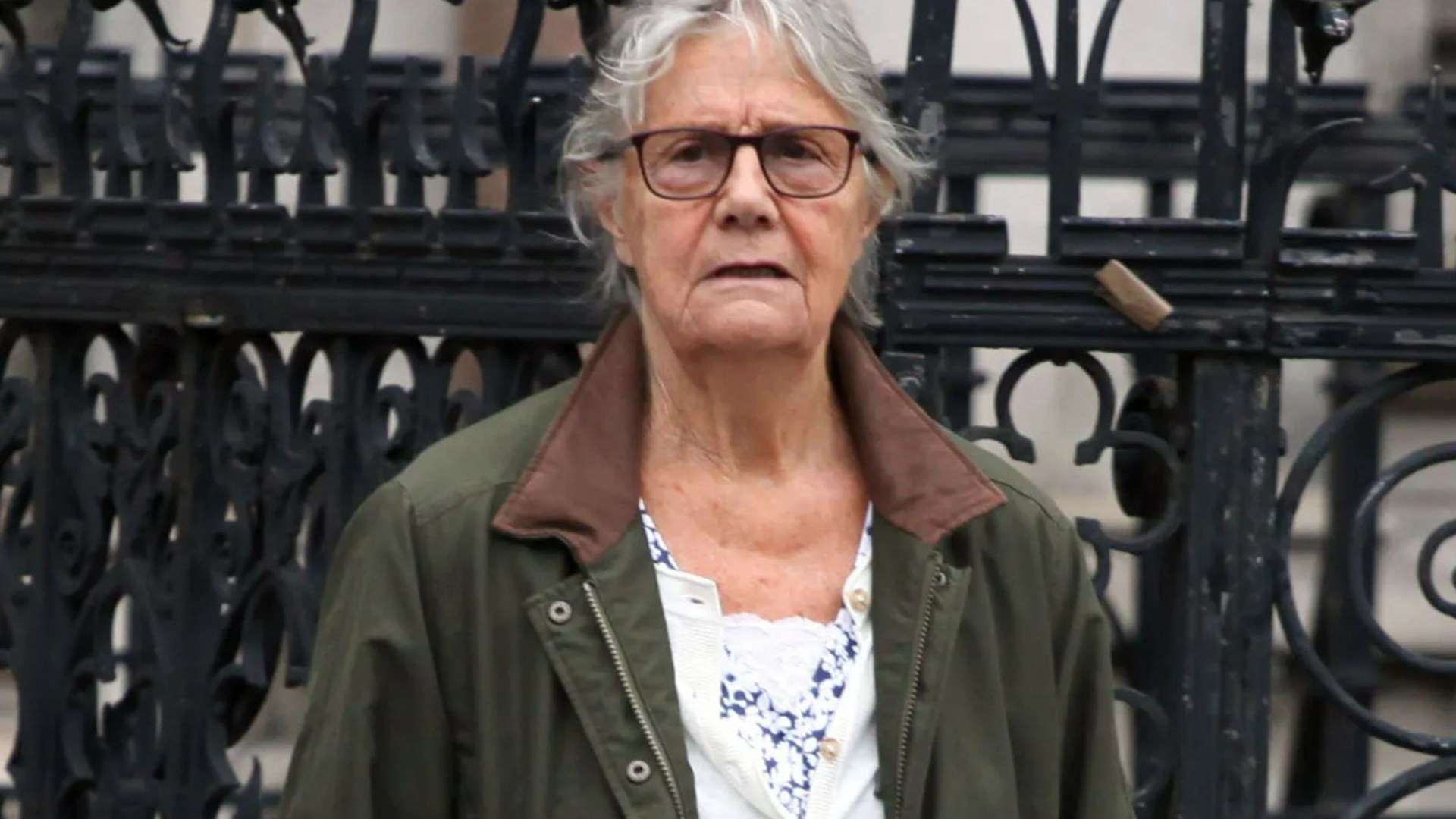 Woman, 84, ‘kicked in groin and SHOT at by neighbours in escalating campaign of terror on millionaire’s row’