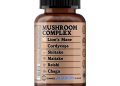 Can Mushroom Gummies Replace Your Morning Coffee? Can Mushroom Gummies Replace Your Morning Coffee?
