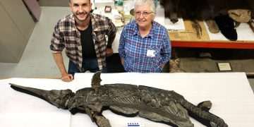 ‘Super weird’ sea DRAGON is uncovered in UK and could solve a 184-million-year-old mystery ‘Super weird’ sea DRAGON is uncovered in UK and could solve a 184-million-year-old mystery