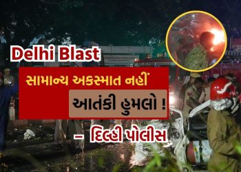 Delhi Blast: Blast on Red Fort is not an accident but a terrorist attack! Police arrested the suspect, see Video