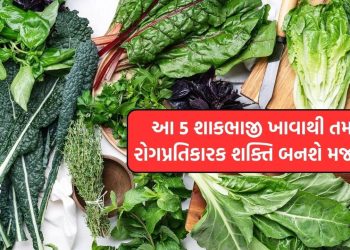 These 5 vegetables are high in iron and vitamin C: Include in winter diet, immunity will be strong