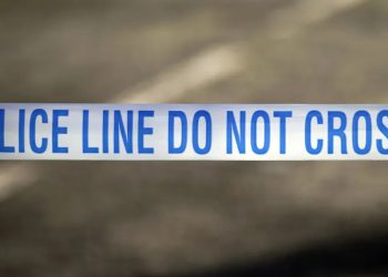 Woman in 30s fighting for life after being stabbed in neck in ‘unprovoked attack’ in Birmingham – as cops arrest man