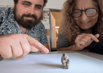 World’s oldest sculpture of a human with an animal is discovered – but can YOU work out what it is?