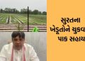 Payment of crop damage assistance to farmers of Surat, 11 crores 27 lakhs paid to 5 thousand farmers- Video