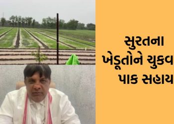 Payment of crop damage assistance to farmers of Surat, 11 crores 27 lakhs paid to 5 thousand farmers- Video