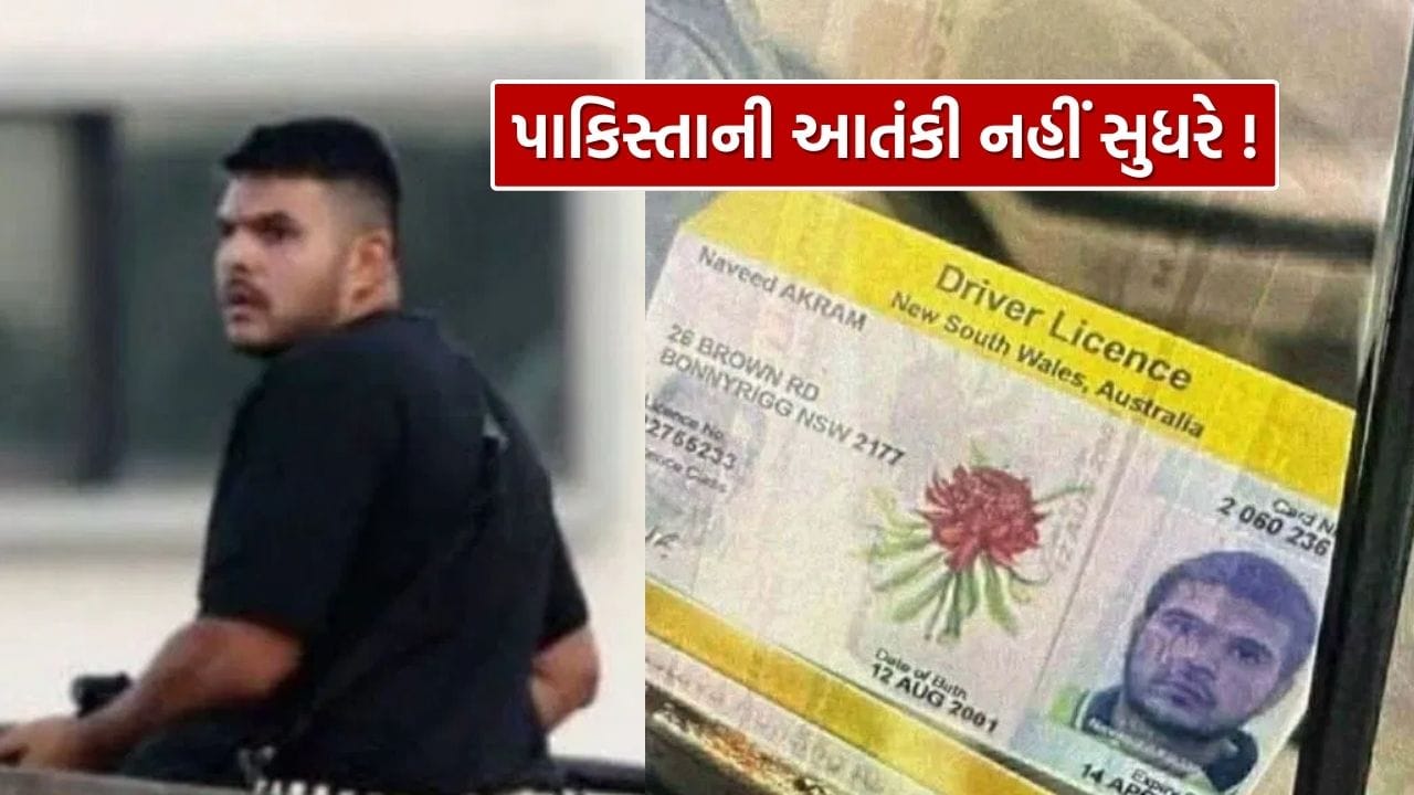 Terror Attack: The 'evil' country will not improve! Pakistan connection exposed in Sydney shooting, terror attack declared