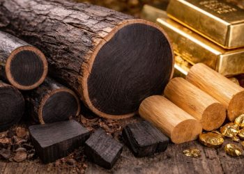This wood is more expensive than sandalwood, which is worth more than gold
