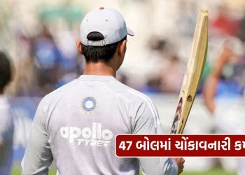 104 runs scored in just 47 balls, a challenge and the 24-year-old player rained sixes, see video