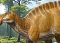 Monstrous 40-FOOT ‘duck-billed cow’ dinosaur that roamed Earth 75 million years ago in herds found in shock discovery
