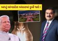 In the hands of Gujarati businessman, the dark light of the whole Bangladesh, if the government makes a mistake, the whole country will be in darkness!