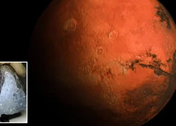 Martian ‘Black Beauty’ rock that crashed down to Earth contains ancient WATER secret from Red Planet, scans reveal