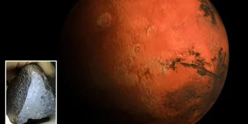 Martian ‘Black Beauty’ rock that crashed down to Earth contains ancient WATER secret from Red Planet, scans reveal Martian ‘Black Beauty’ rock that crashed down to Earth contains ancient WATER secret from Red Planet, scans reveal