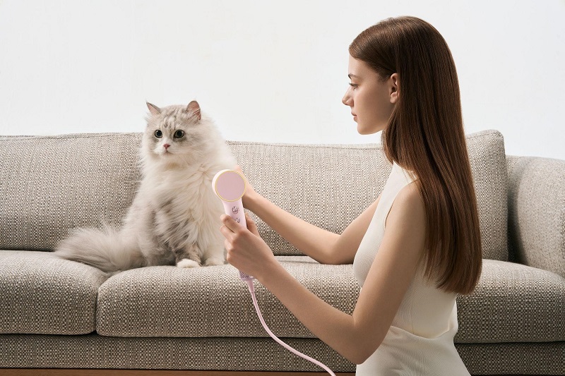 Laifen Mini Hair Dryer Review: How Small and Powerful Is It?