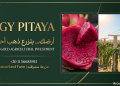 EGY PITAYA UNVEILS SMART AGRICULTURAL INVESTMENT PLATFORM FOR PREMIUM DRAGON FRUIT CULTIVATION AND EXPORT IN EGYPT