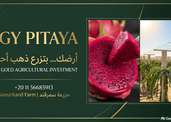 EGY PITAYA UNVEILS SMART AGRICULTURAL INVESTMENT PLATFORM FOR PREMIUM DRAGON FRUIT CULTIVATION AND EXPORT IN EGYPT