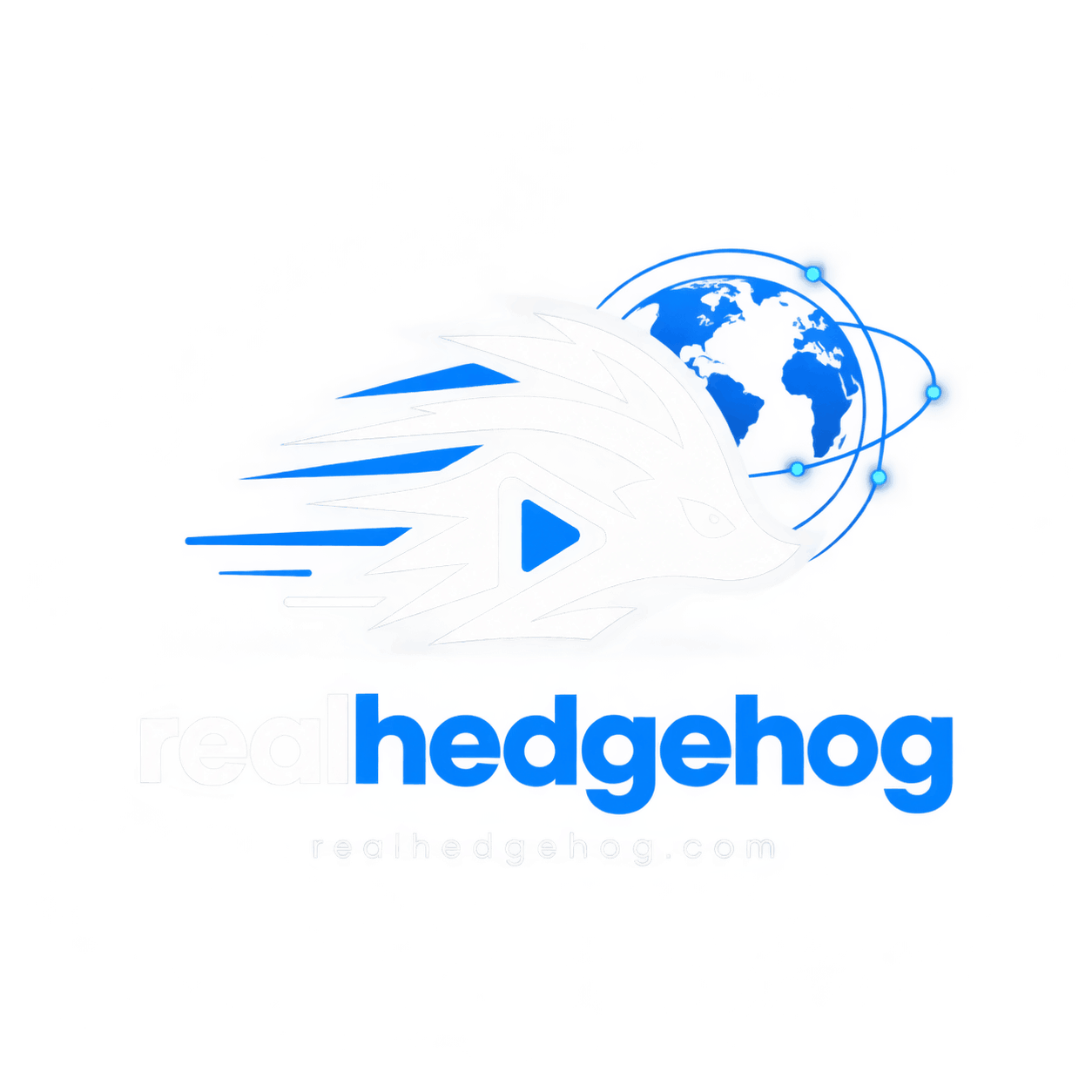 RealHedgehog Achieves Independent Valuation of Over £1 Million RealHedgehog Achieves Independent Valuation of Over £1 Million