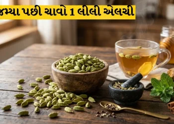 Chew This 1 Green Thing Daily After Dinner: Improves Digestion and Eliminates Bad Breath, Know 5 Powerful Benefits of Eating Cardamom