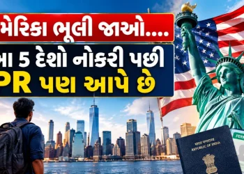 Job Opportunities Beyond US : Forget America…. These 5 countries also offer PR after job, know Indian youth Job Opportunities Beyond US : Forget America…. These 5 countries also offer PR after job, know Indian youth