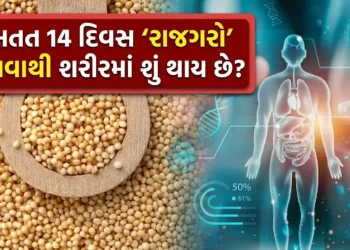 What happens to the body by eating ‘Rajgaro’ for 14 consecutive days? Know the miraculous benefits of this superfood